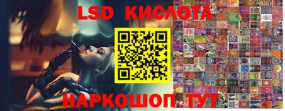 apvp Кимры