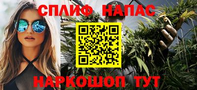 спиды Кинель