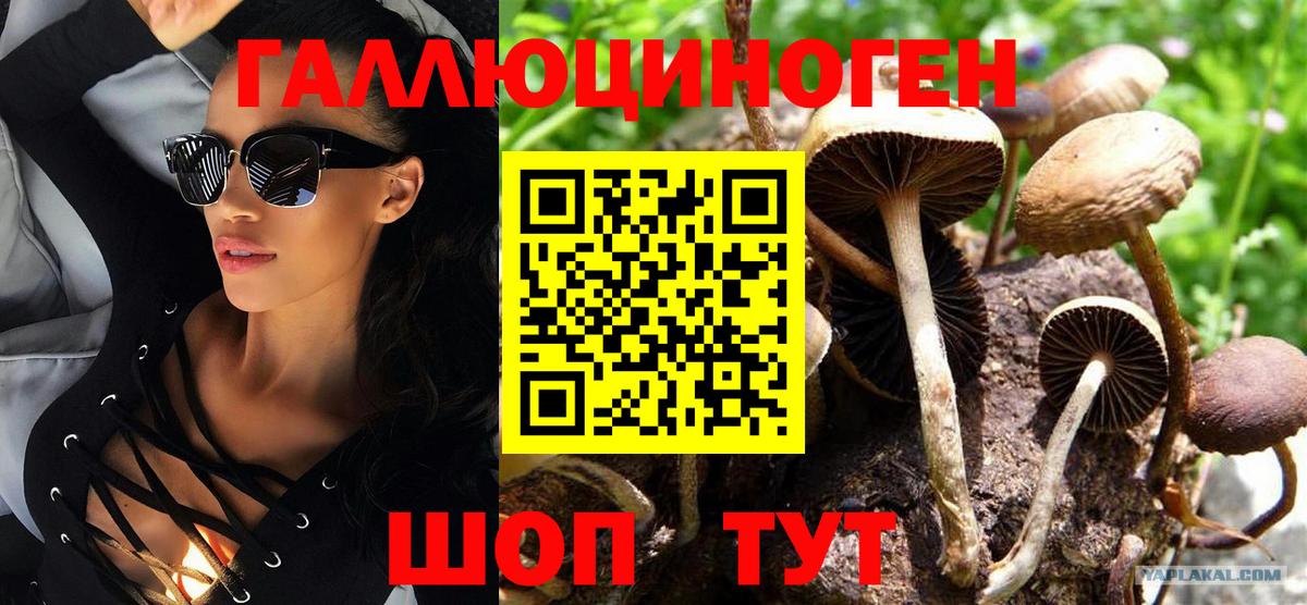 Конаково  Галлюциногенные грибы мухоморы  где продают   Вход с VPN 